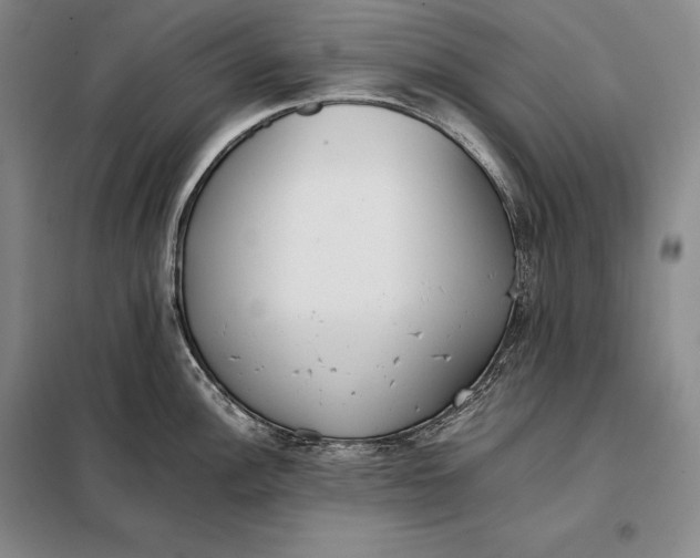 X0000098141148200805011338