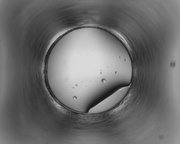 X0000098141149200805011338