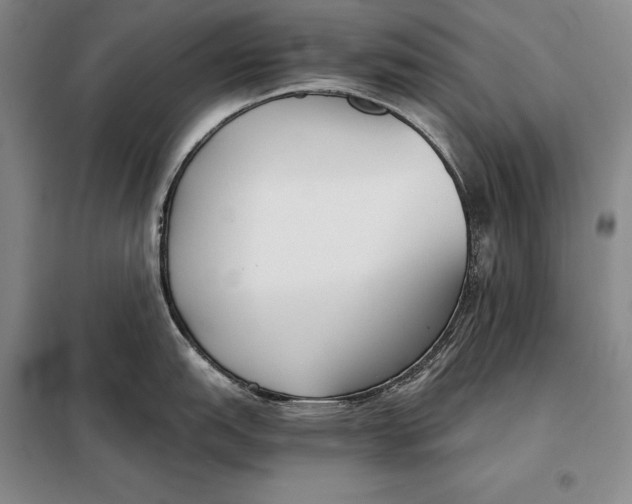 X0000098141151200805011338