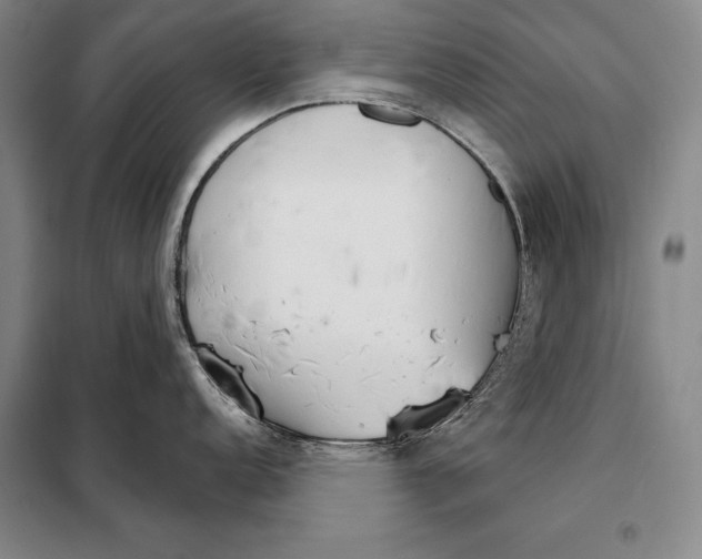 X0000098141152200805011338
