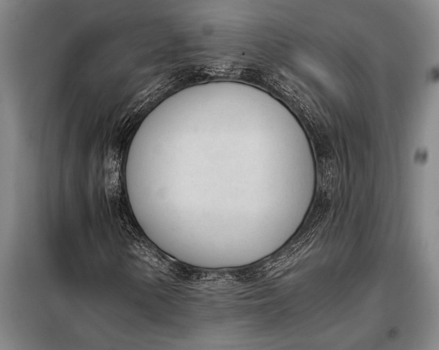 X0000098141154200805011337