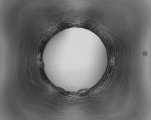 X0000098141156200805011337