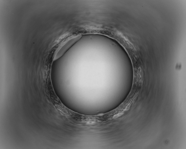 X0000098141157200805011337