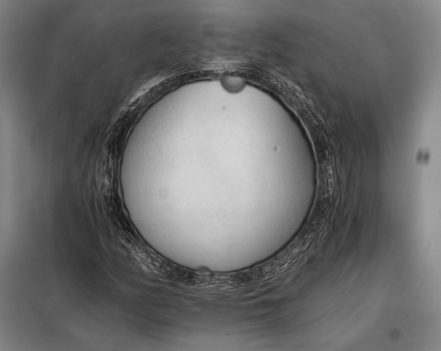 X0000098141158200805011337