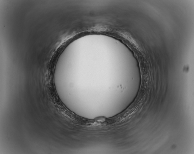 X0000098141160200805011337