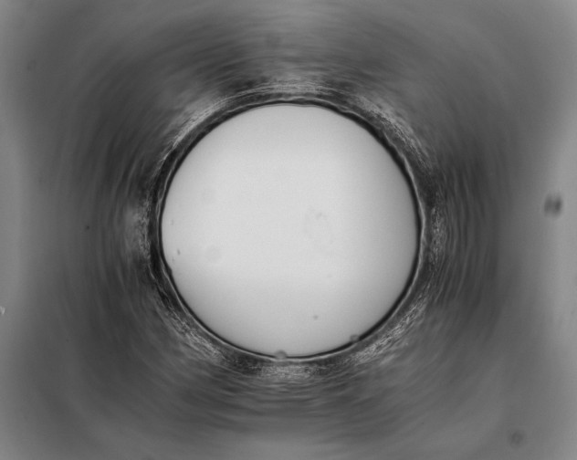 X0000098141162200805011337