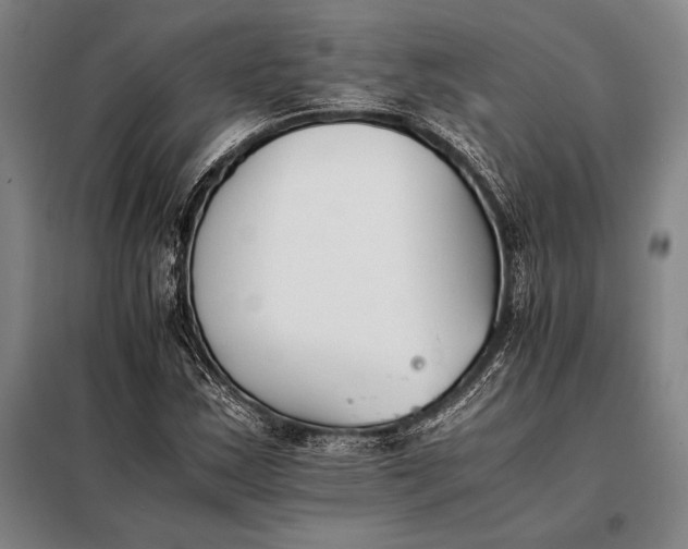 X0000098141163200805011337