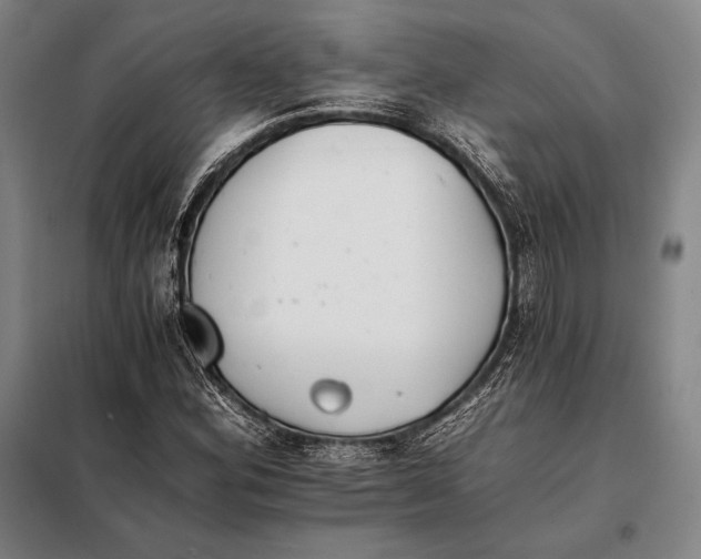 X0000098141164200805011337