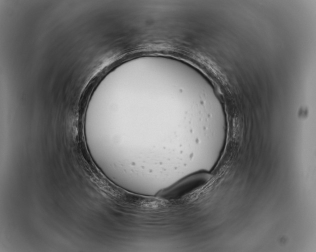 X0000098141165200805011337