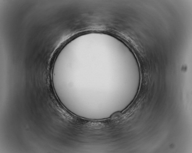 X0000098141168200805011337