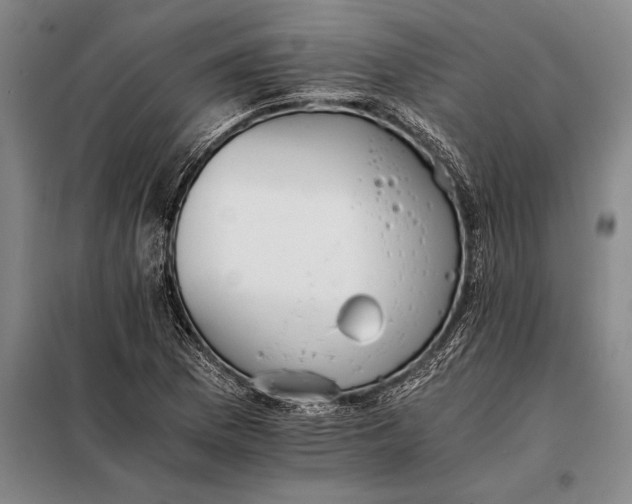 X0000098141169200805011337