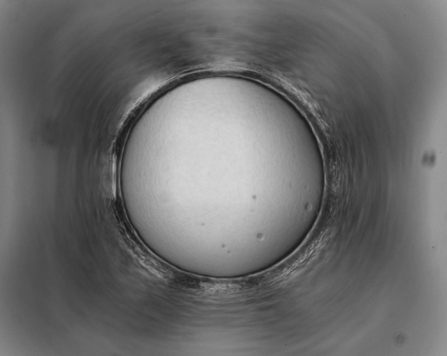 X0000098141171200805011337