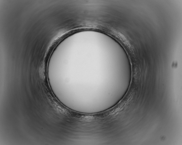 X0000098141172200805011337