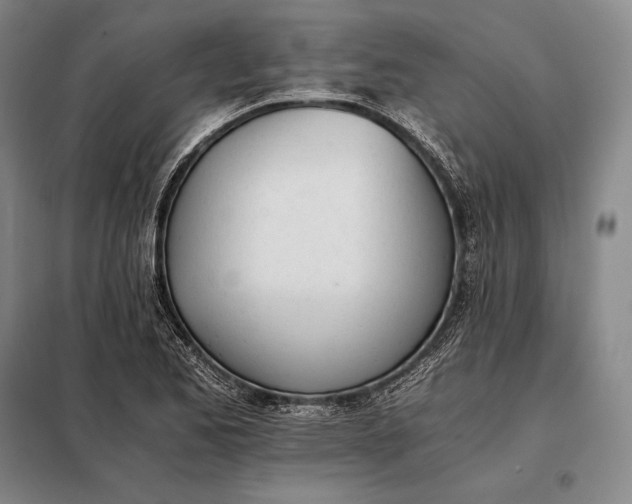X0000098141173200805011337