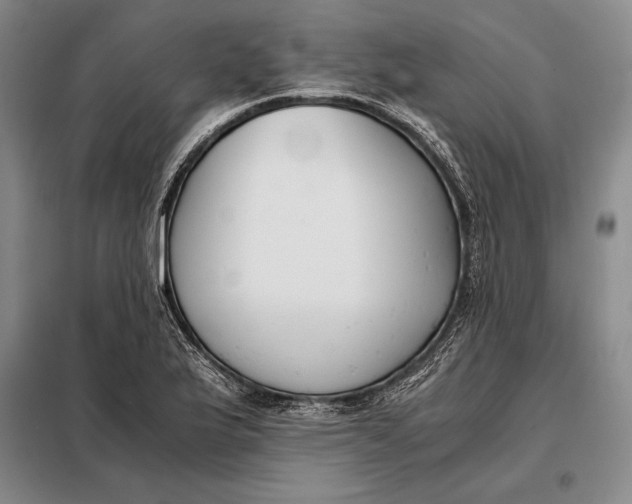 X0000098141175200805011337