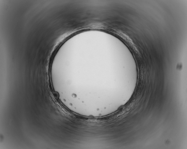X0000098141176200805011337