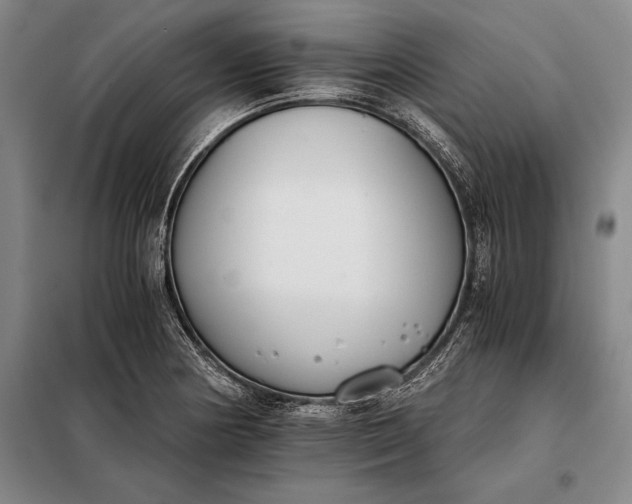 X0000098141178200805011337
