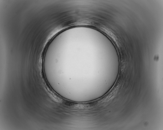 X0000098141179200805011337
