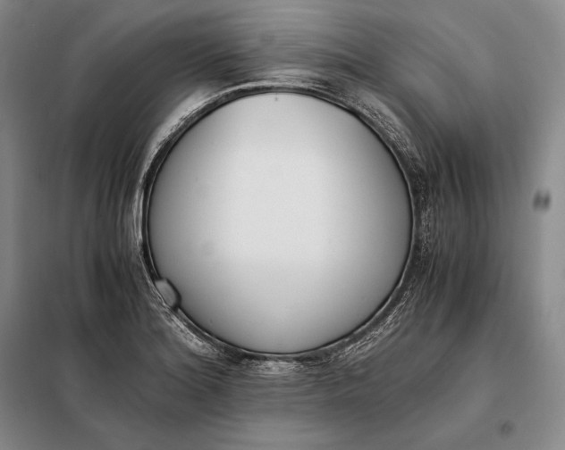 X0000098141180200805011337