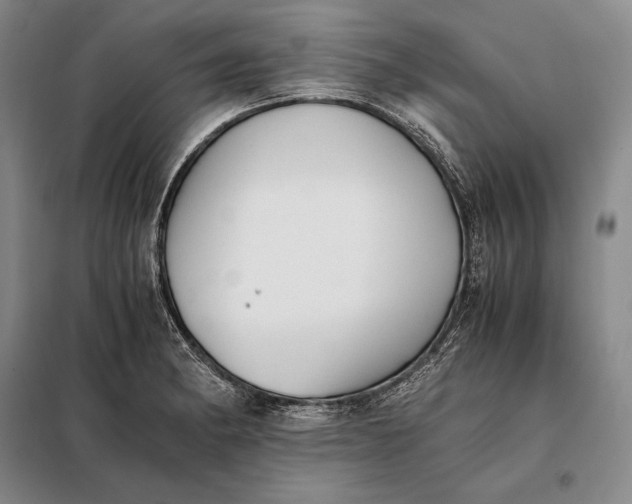 X0000098141182200805011337