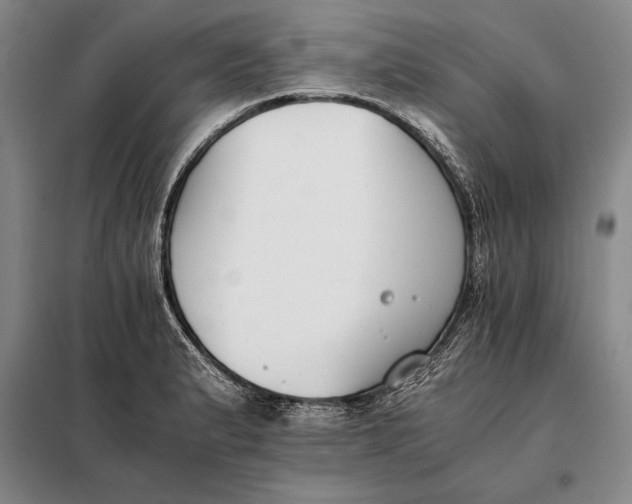 X0000098141183200805011337