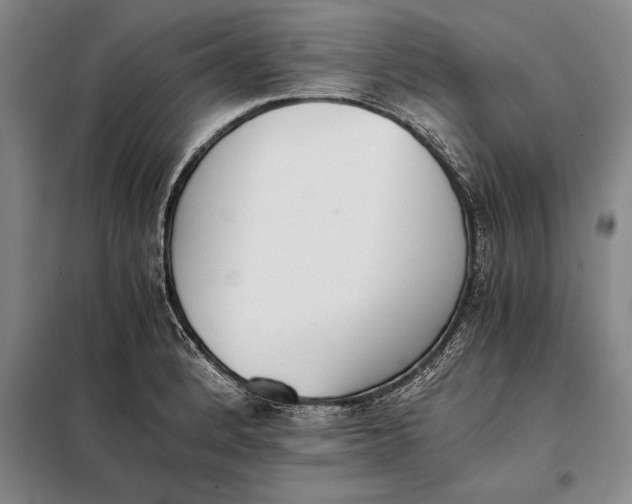X0000098141184200805011337