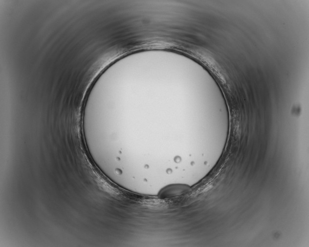 X0000098141186200805011337