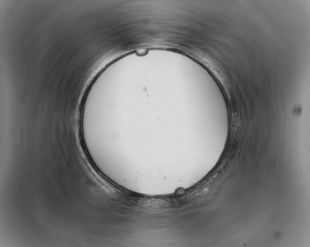 X0000098141187200805011337