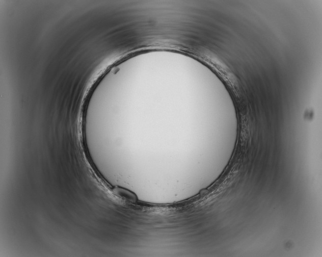 X0000098141188200805011337