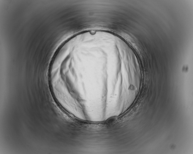 X0000098141189200805011337