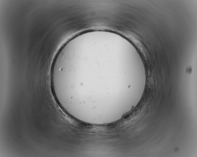 X0000098141191200805011337