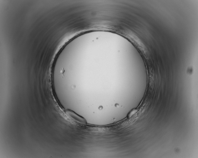 X0000098141192200805011337