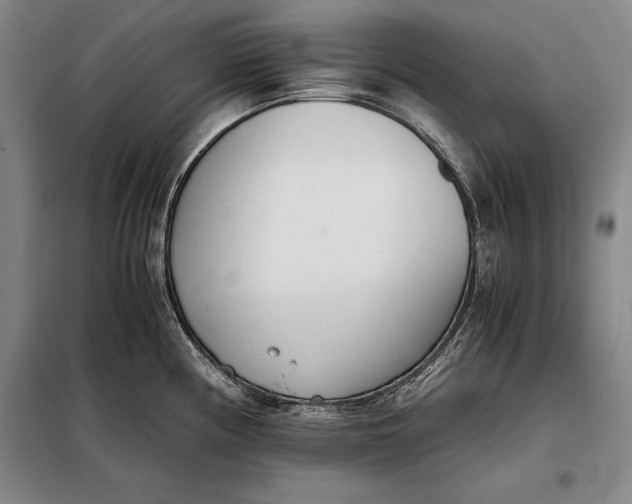 X0000098141194200805011337