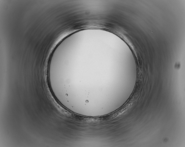 X0000098141195200805011337
