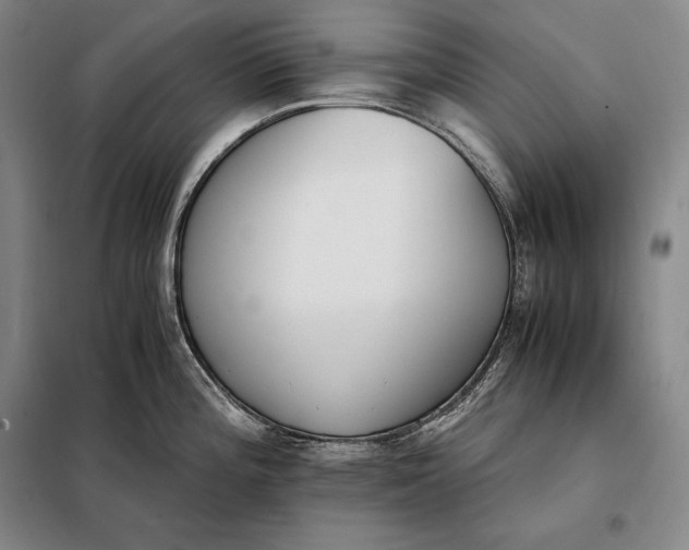 X0000098141196200805011337