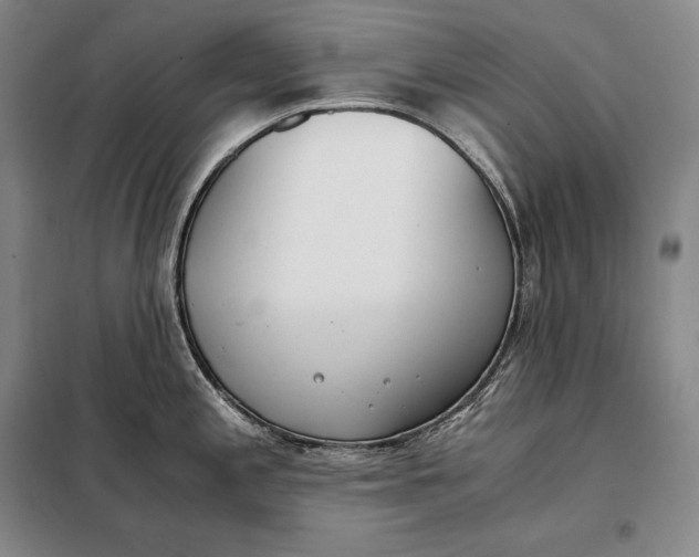 X0000098141197200805011336