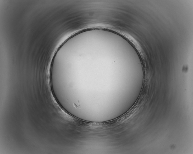 X0000098141199200805011336