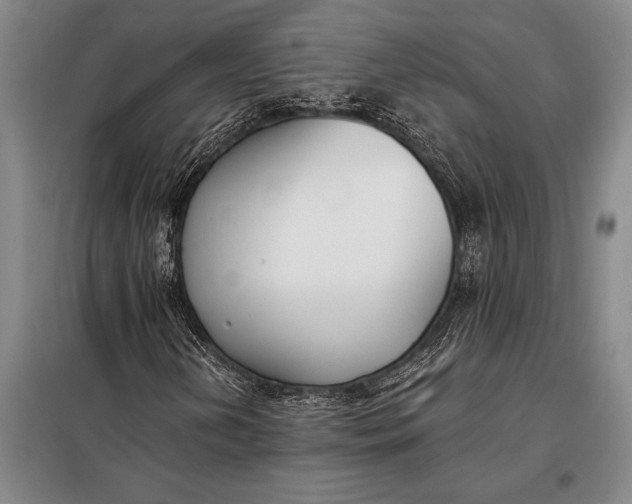 X0000098141202200805011336