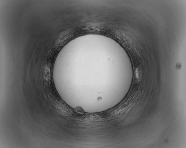 X0000098141203200805011336