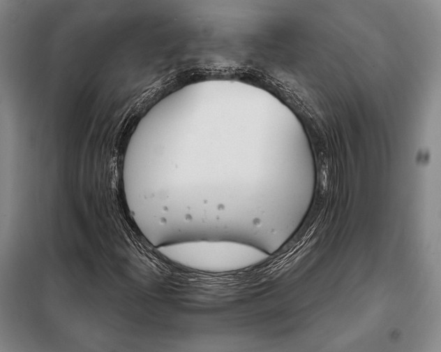 X0000098141204200805011336