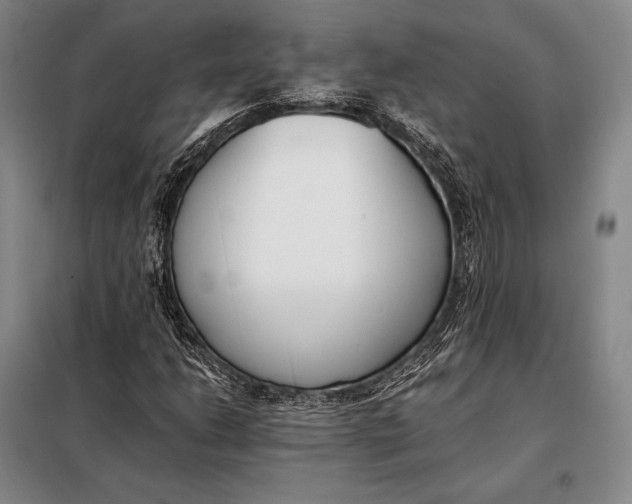 X0000098141206200805011336
