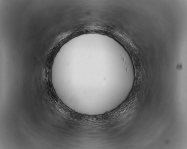 X0000098141207200805011336
