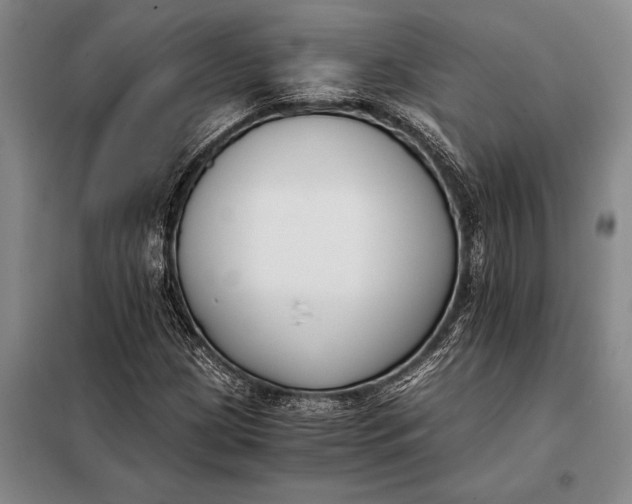 X0000098141209200805011336