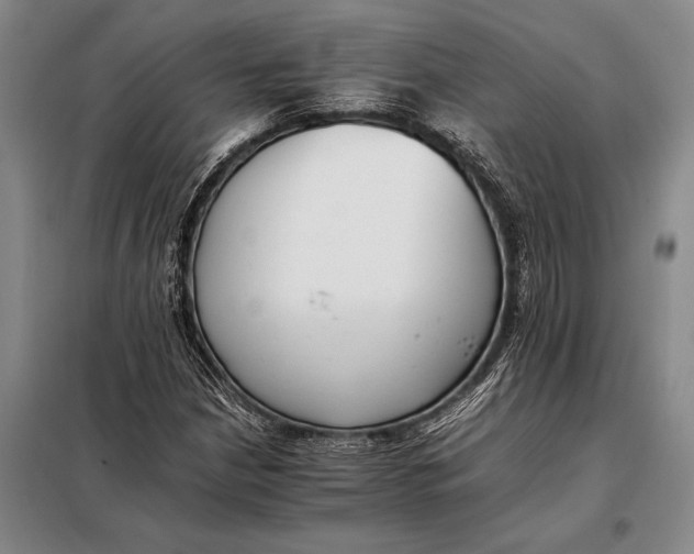 X0000098141210200805011336