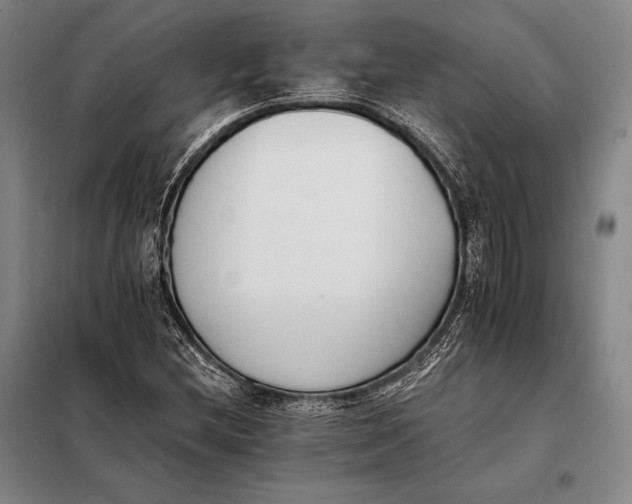 X0000098141212200805011336