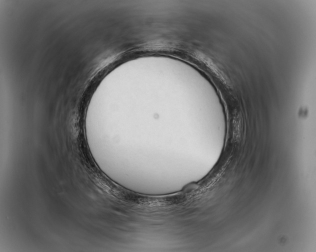 X0000098141213200805011336