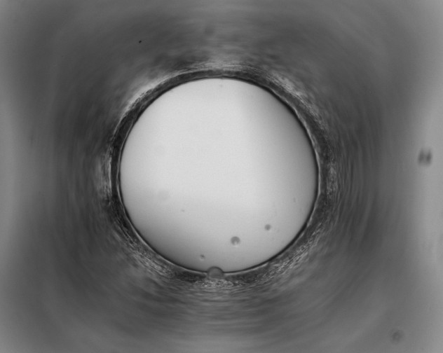 X0000098141214200805011336