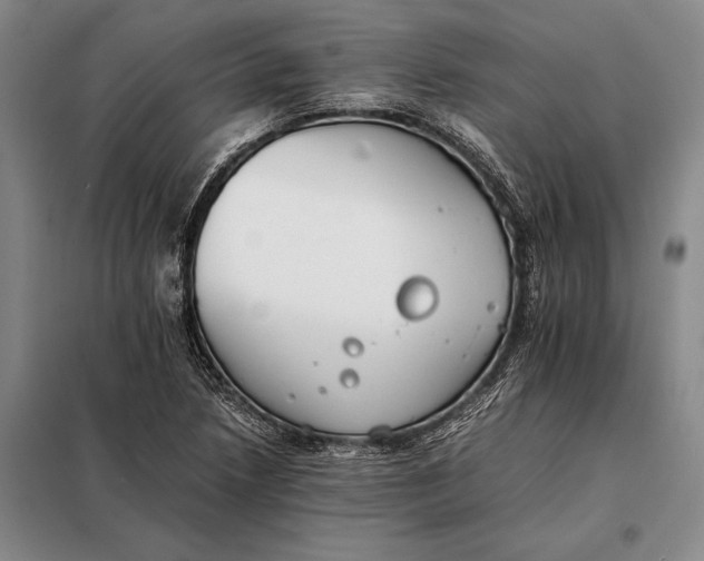 X0000098141218200805011336