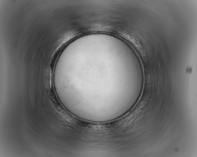 X0000098141219200805011336