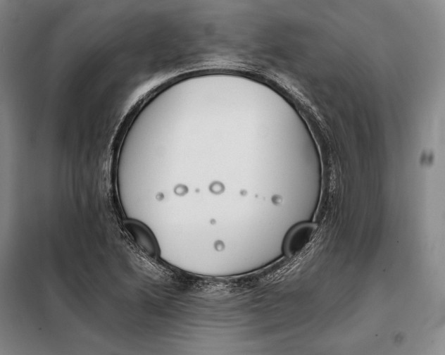 X0000098141222200805011336